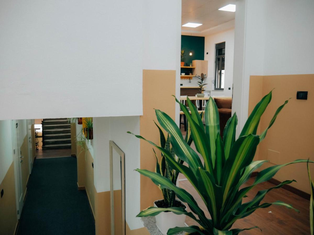 The Maze Hostel *