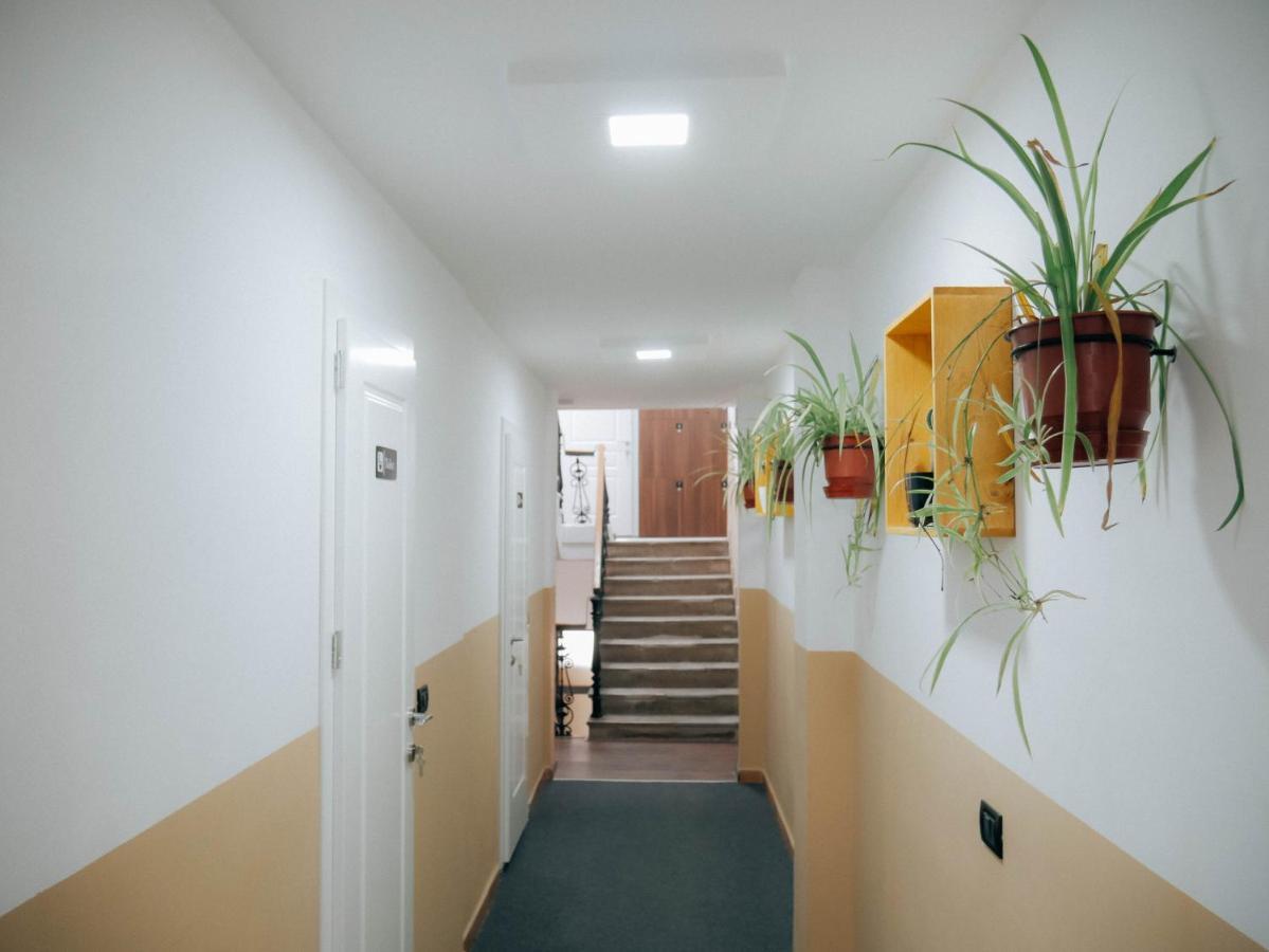 Auberge de jeunesse The Maze *